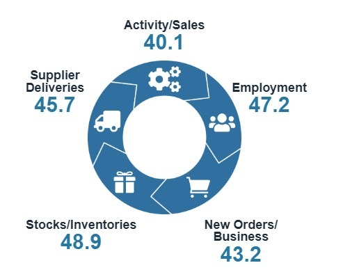 New Zealand services pmi May 2025 2