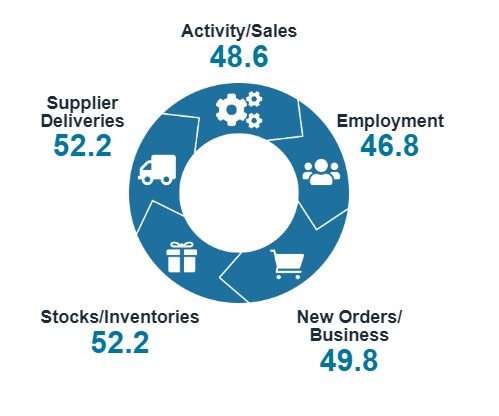 New Zealand services pmi November 2024 2