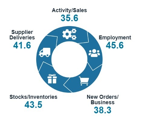 New Zealand services pmi june 2024 15 July 2024 2
