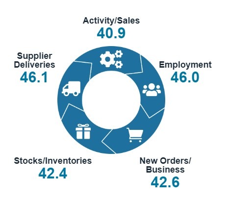 New Zealand services pmi may 20242