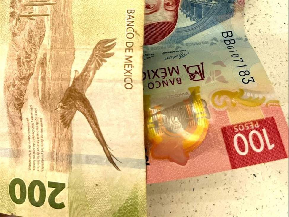 Mexico central bank lowers key rate by 25 bps, as expected | investingLive