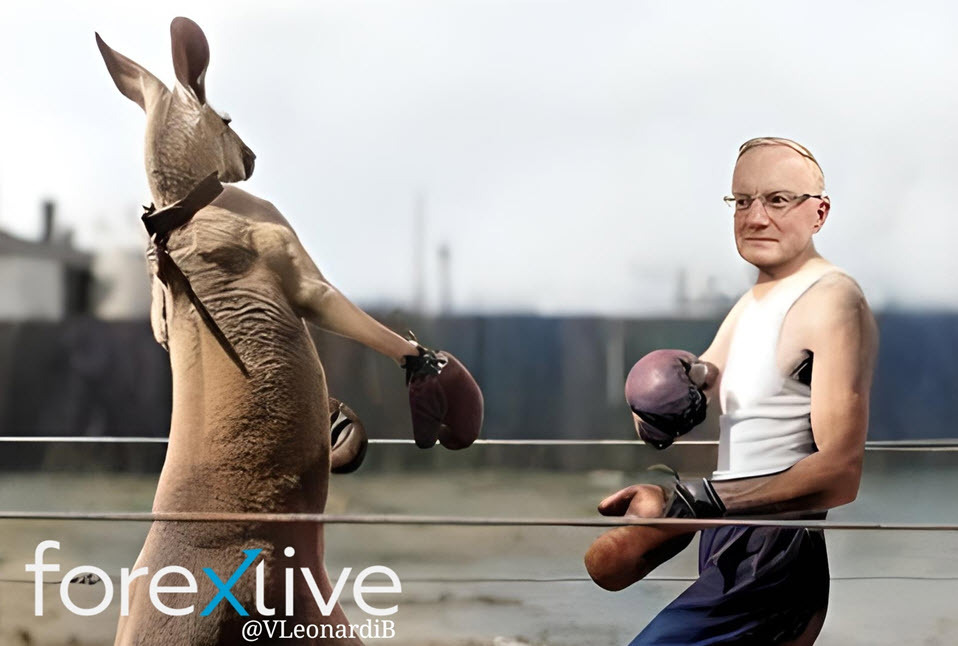 Philip Lowe RBA kangaroo meme