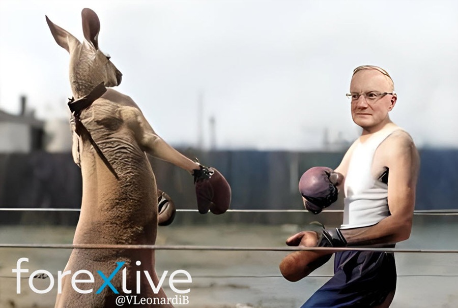 Philip Lowe RBA kangaroo meme