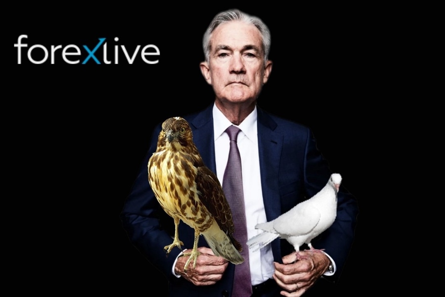 Powell hawk and dove
