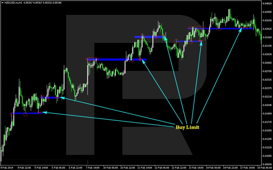 Roboforex 1