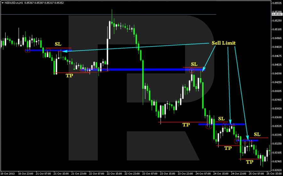 Roboforex 3