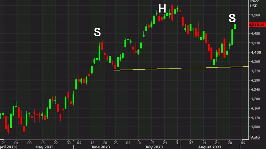 S&P 500 daily