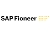 SAP
