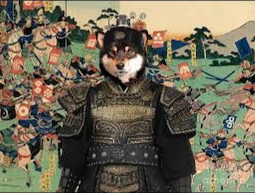 SHIB