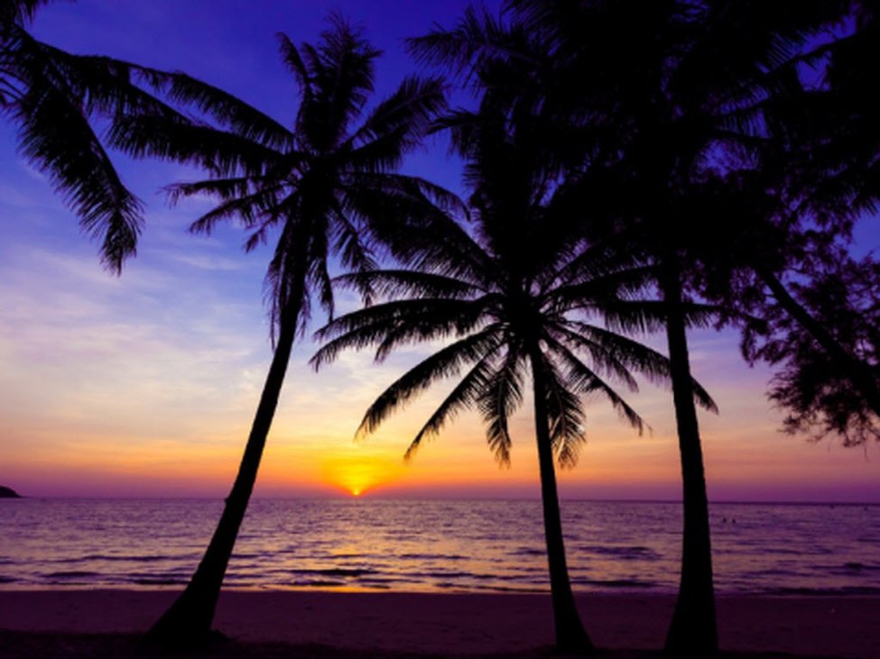 Sterling and aussie look to shake off the seasonal blues this year