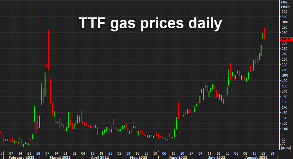TTF gas prices daily