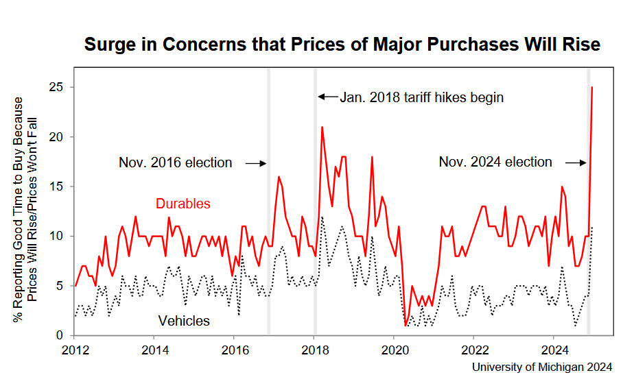 UMich chart on major purchases