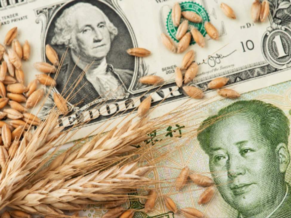China reportedly made purchases of two cargoes of US wheat for December shipment | investingLive