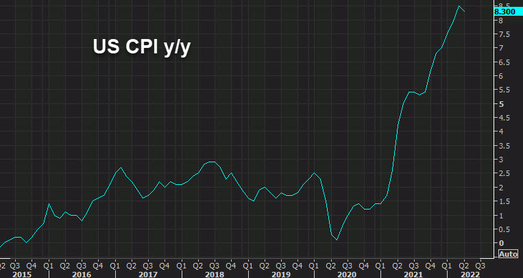 US CPI yy