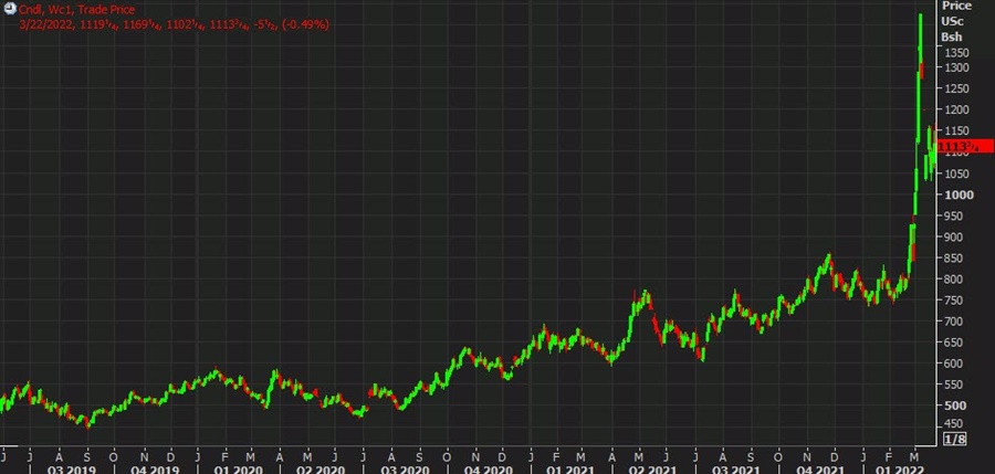 US wheat