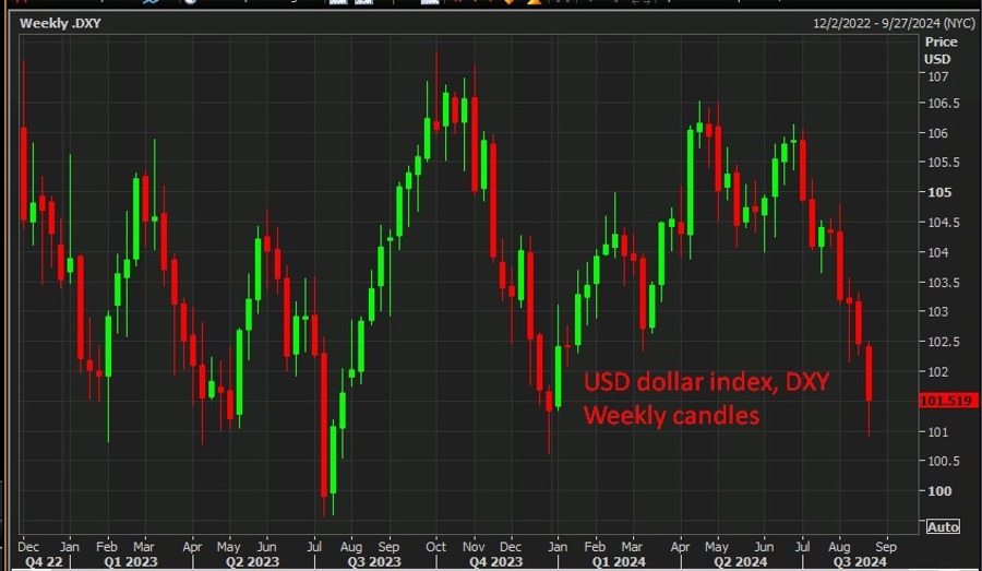 USD dollar index, DXY Weekly candles 23 August 2024 2