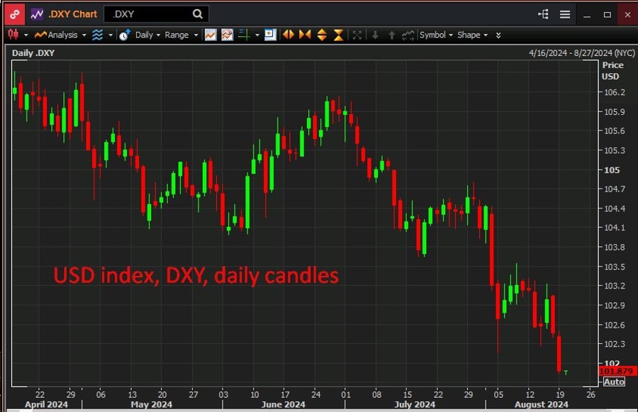 USD index, DXY, daily candles 20 August 2024 2
