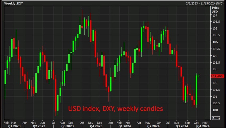 USD index, DXY, weekly candles 08 October 2024 2