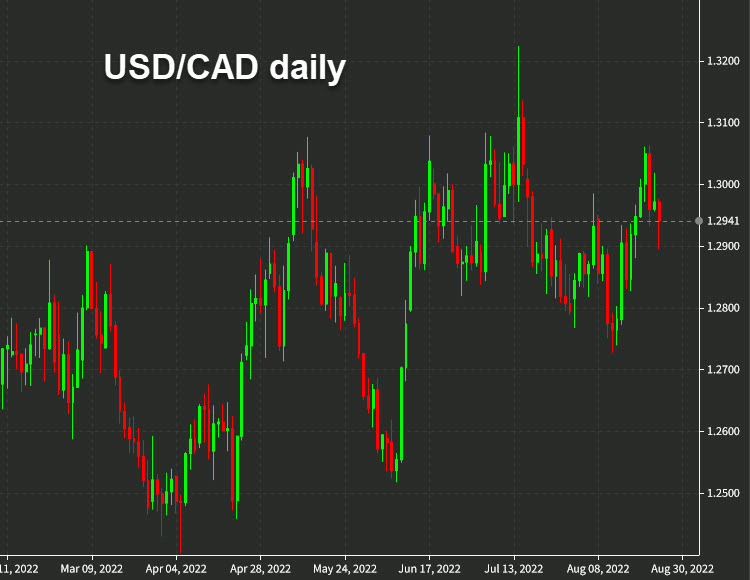 USDCAD daily Aug 25