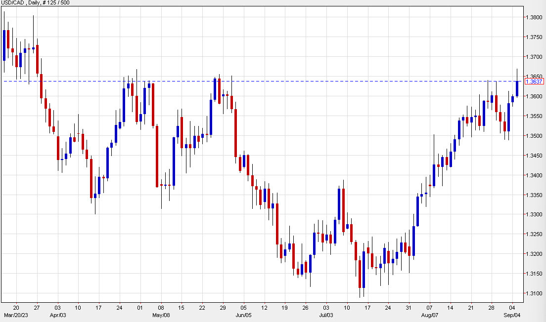 USDCAD daily d
