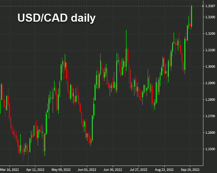 USDCAD daily