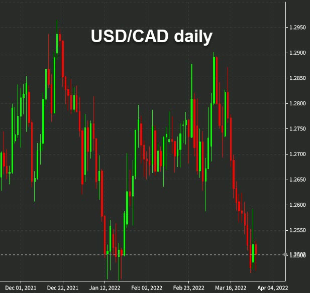 USDCAD daily