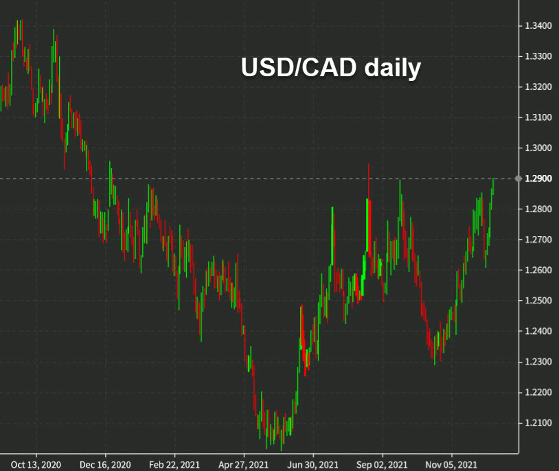 USDCAD daily
