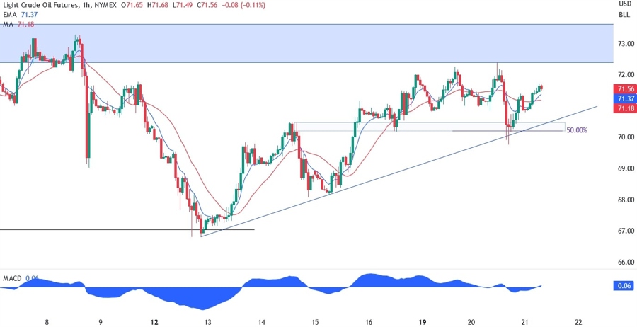 WTI Crude Oil Technical Analysis