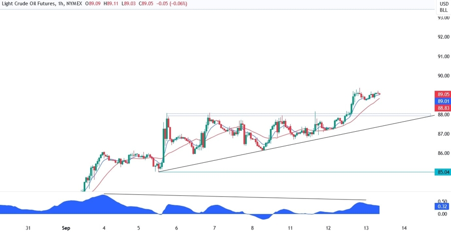 WTI Crude Oil Technical Analysis
