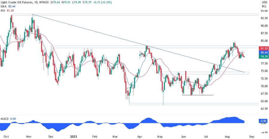 WTI Crude Oil Technical Analysis