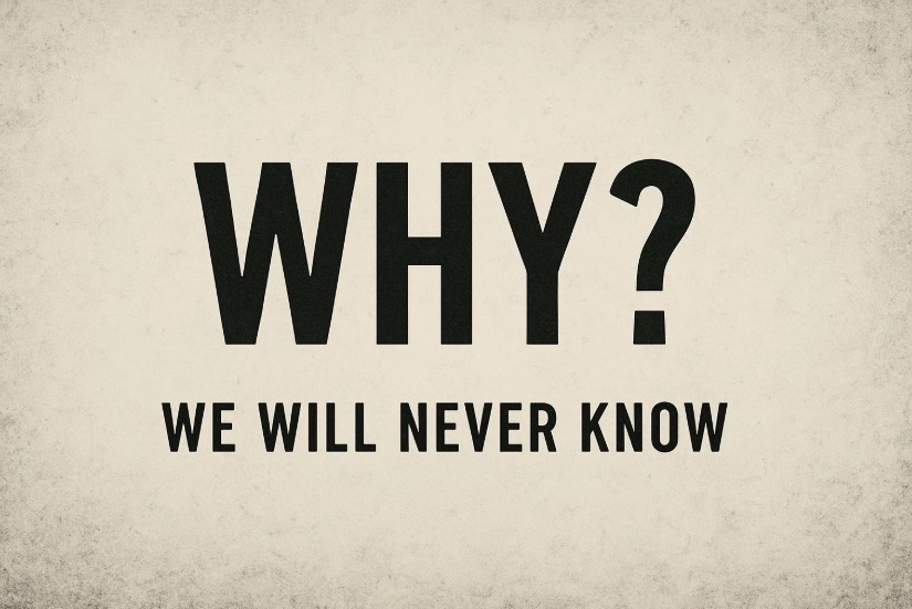 Why did the the stock go down? We will never *fully know