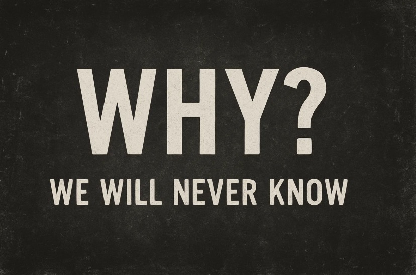 Why did the the stock go down? We will never *fully know