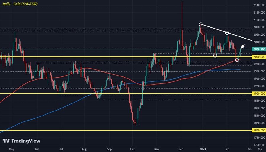 XAUUSD D1 19-02