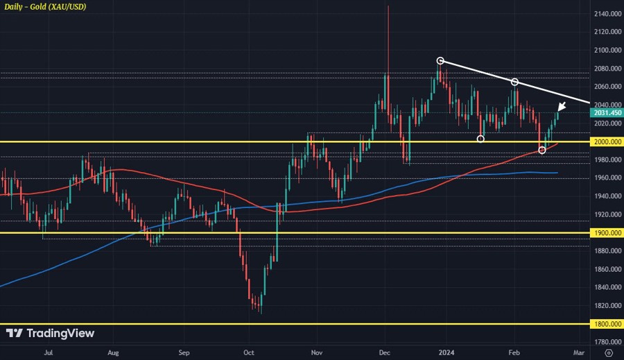XAUUSD D1 21-02