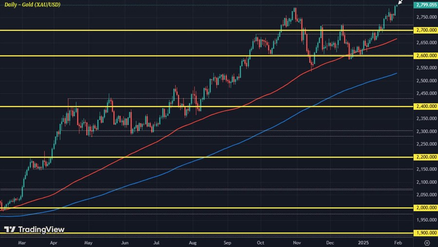 XAUUSD D1 31-01