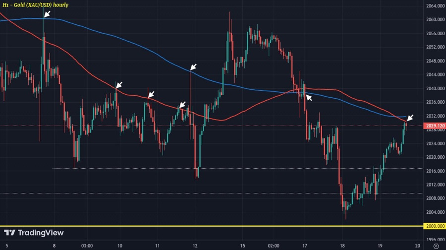 XAUUSD H1 19-01