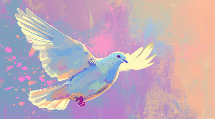 a dove