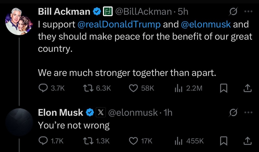 ackman musk 06 June 2025 2