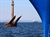 anchor ship 14 July 2022