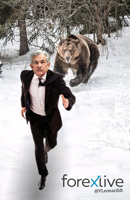 bear chasing powell meme