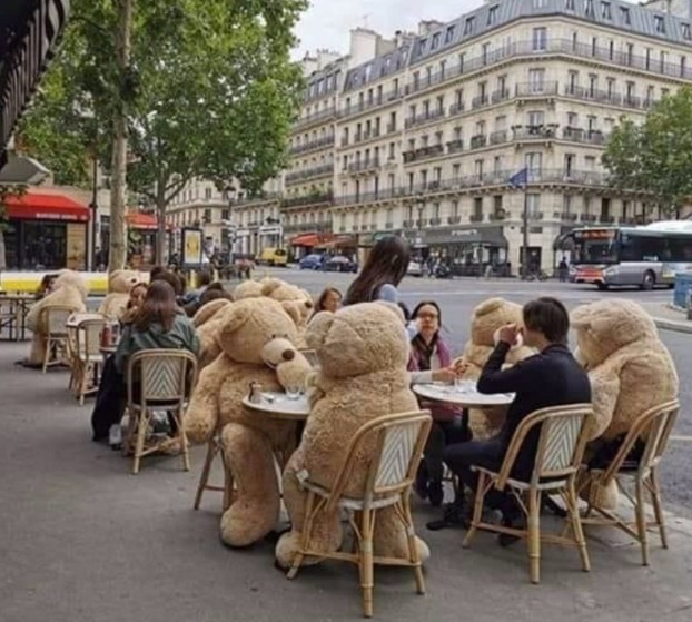 bears