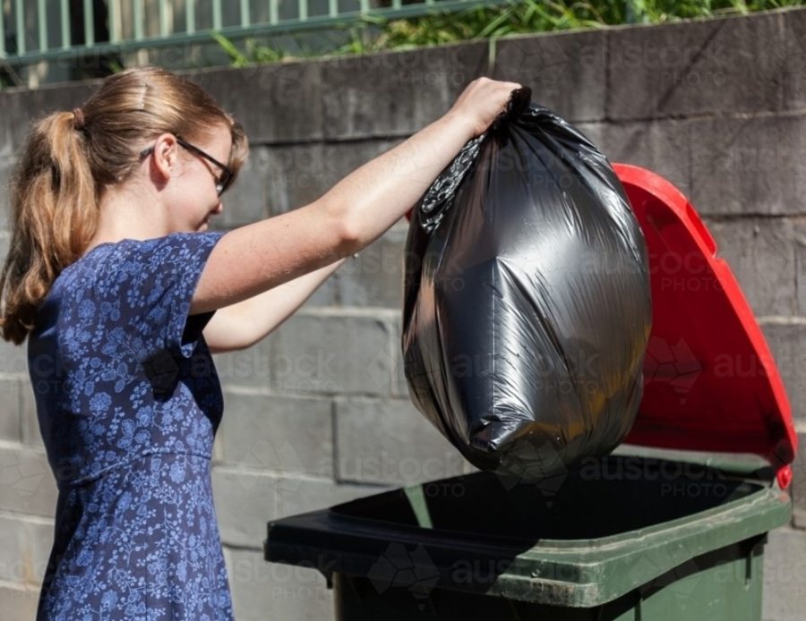 bin rubbish 2