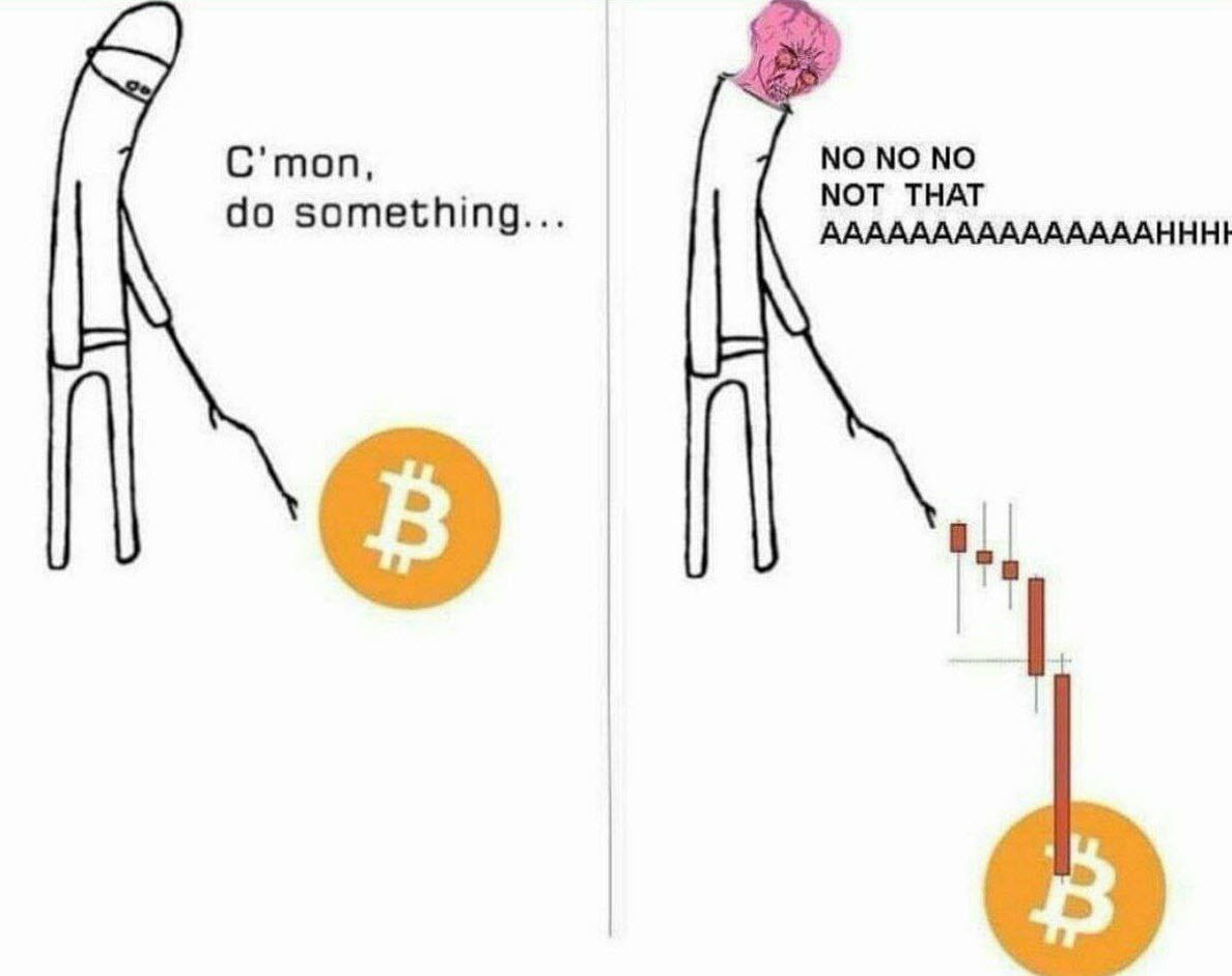bitcoin meme 2