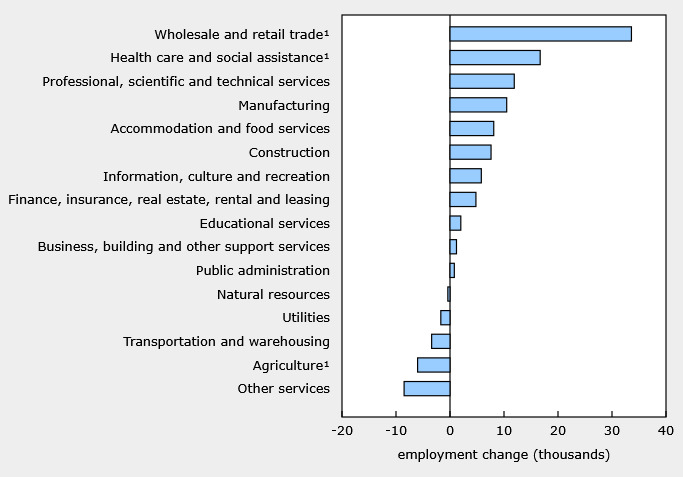 breakdown of jobs LFS