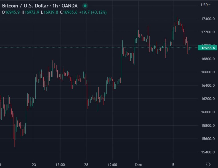 btc orthogonal maple 06 December 2022