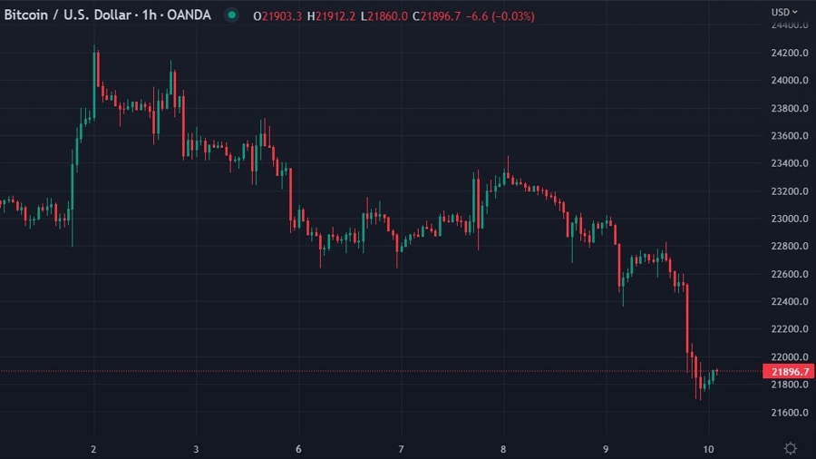 btcusd 10 February 2023 chart