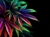 cannabis