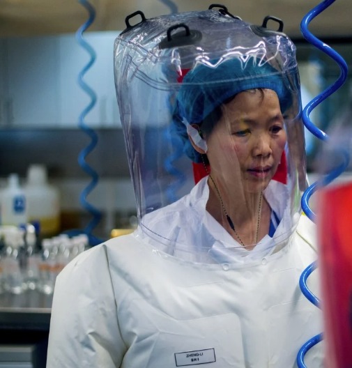 November 2019 3 researchers China’s Wuhan Institute of Virology
