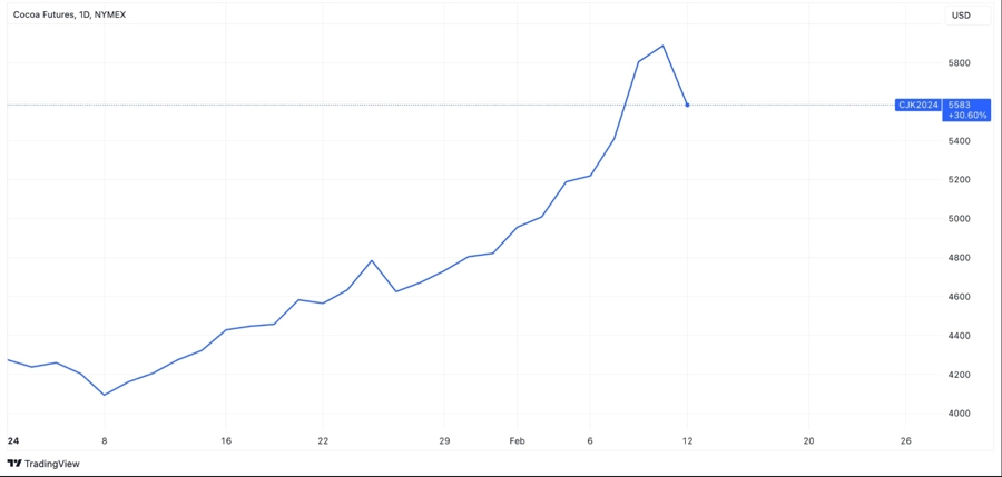cocoa futures