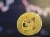 doge